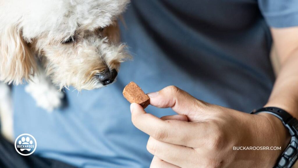 7 Heartworm Symptoms in Dogs and Their Treatment 1 Heartworm Symptoms