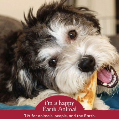 Earth Animal No-Hide Small Rolls Long Lasting Natural Rawhide Alternative Beef Recipe Chew Dog Treats, 2 count 2 Earth Animal No-Hide Small Rolls Long Lasting Natural Rawhide Alternative Beef Recipe Chew Dog Treats
