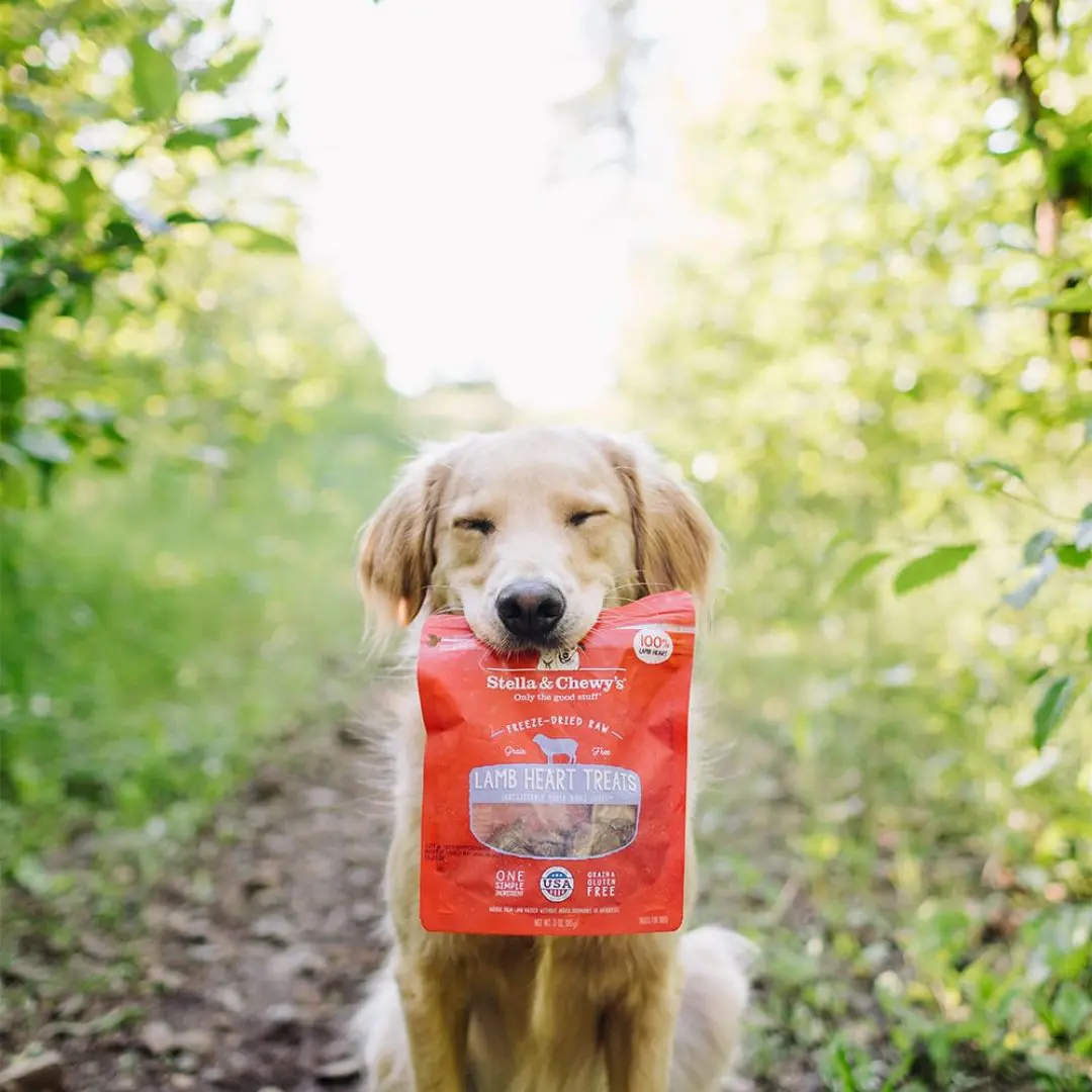 Stella & Chewy's Lamb Heart Freeze-Dried Raw Dog Treats 3 Stella & Chewy's Lamb Heart Freeze Dried Raw Dog Treats