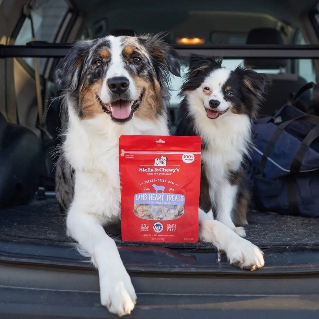 Stella & Chewy's Lamb Heart Freeze-Dried Raw Dog Treats 2 Stella & Chewy's Lamb Heart Freeze Dried Raw Dog Treats