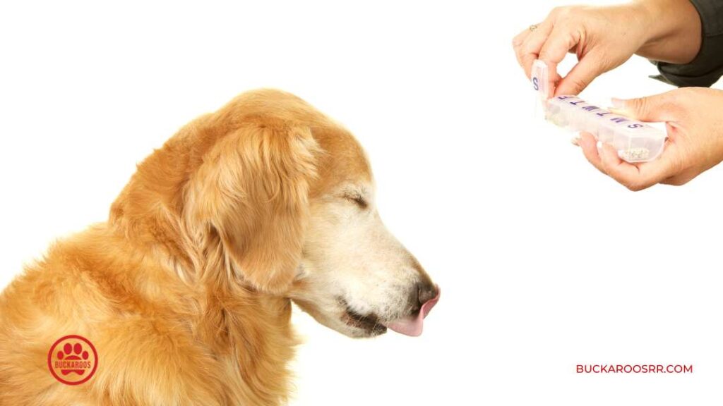 8 Side Effects Of Oral Tick and Flea Medicines and Alternative Herbal Options 9 Tick and Flea Medicines