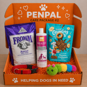 Penpal Care Pack 2